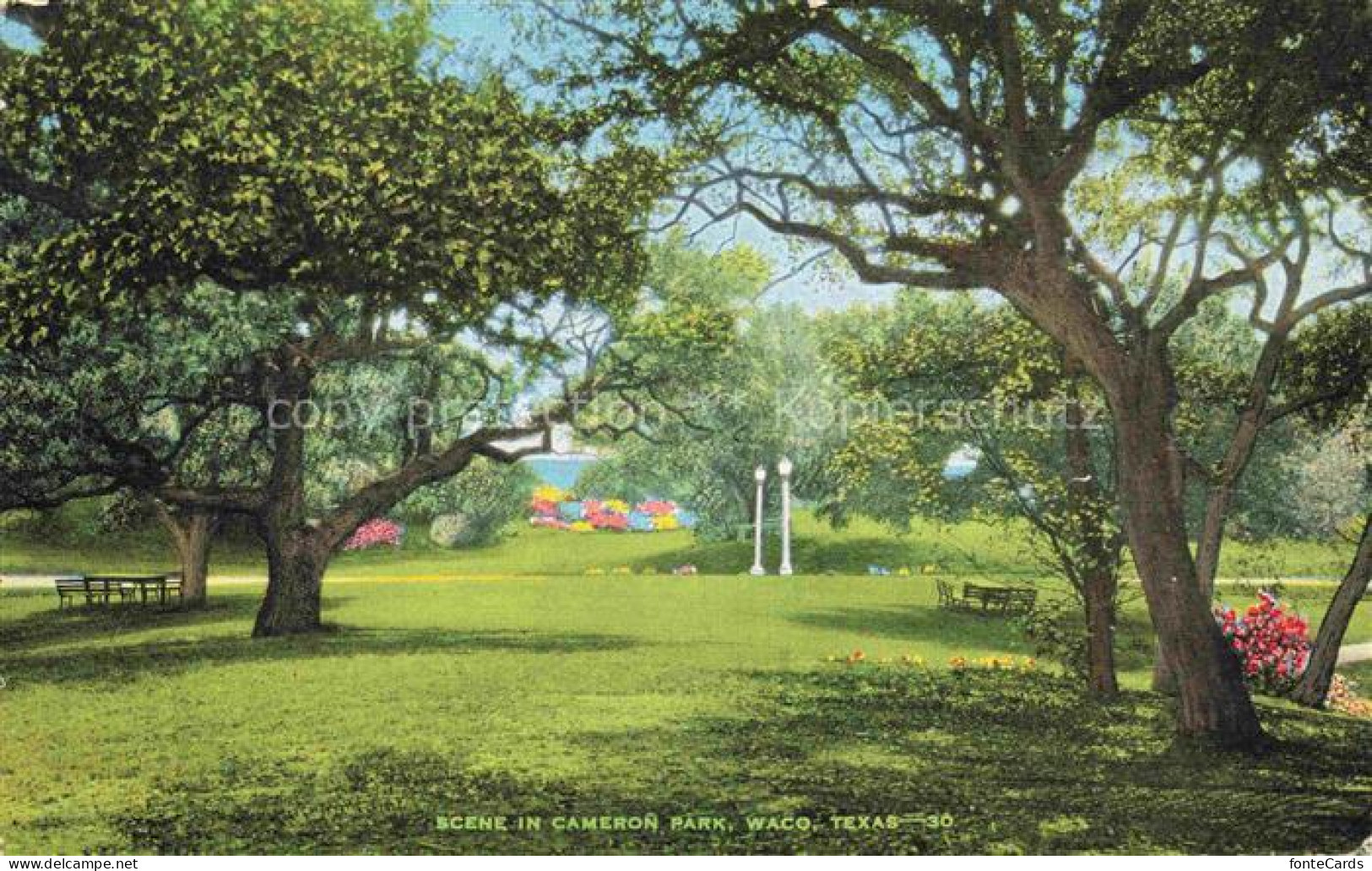 Waco Texas USA Cameron-Park Baeume Rasen Parkbaenke Laternen Blumenbeete Spazier