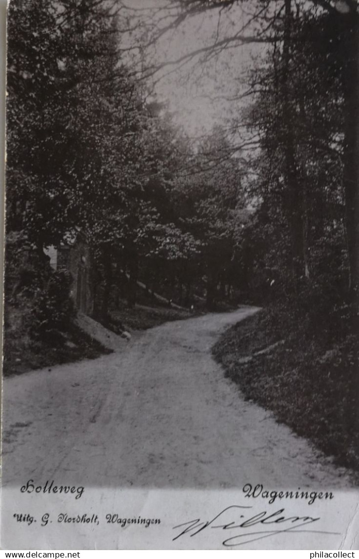 Wageningen // Holleweg 1902