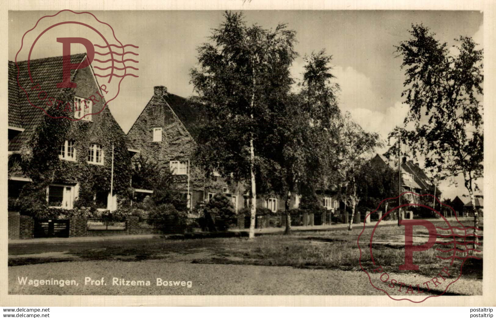 WAGENINGEN  Prof Ritzema Bosweg   Gelderland Wageningen  HOLLAND HOLANDA NETHERLANDS