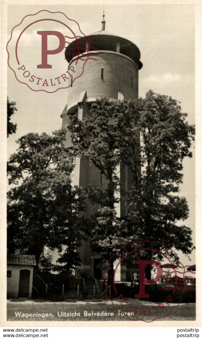 WAGENINGEN UITZICHT BELVÉDÈRE TOREN GELDERLAND WAGENINGEN HOLLAND HOLANDA NETHERLANDS