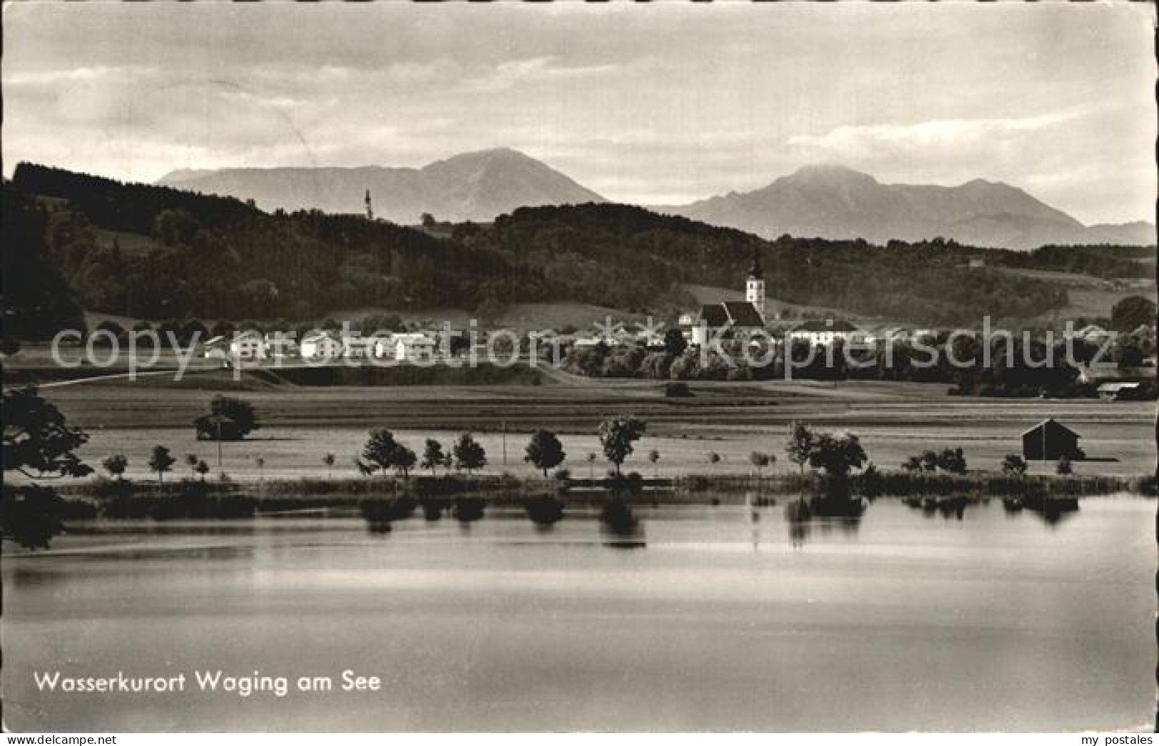 Waging See Panorama Wasserkurort Chiemgauer Alpen