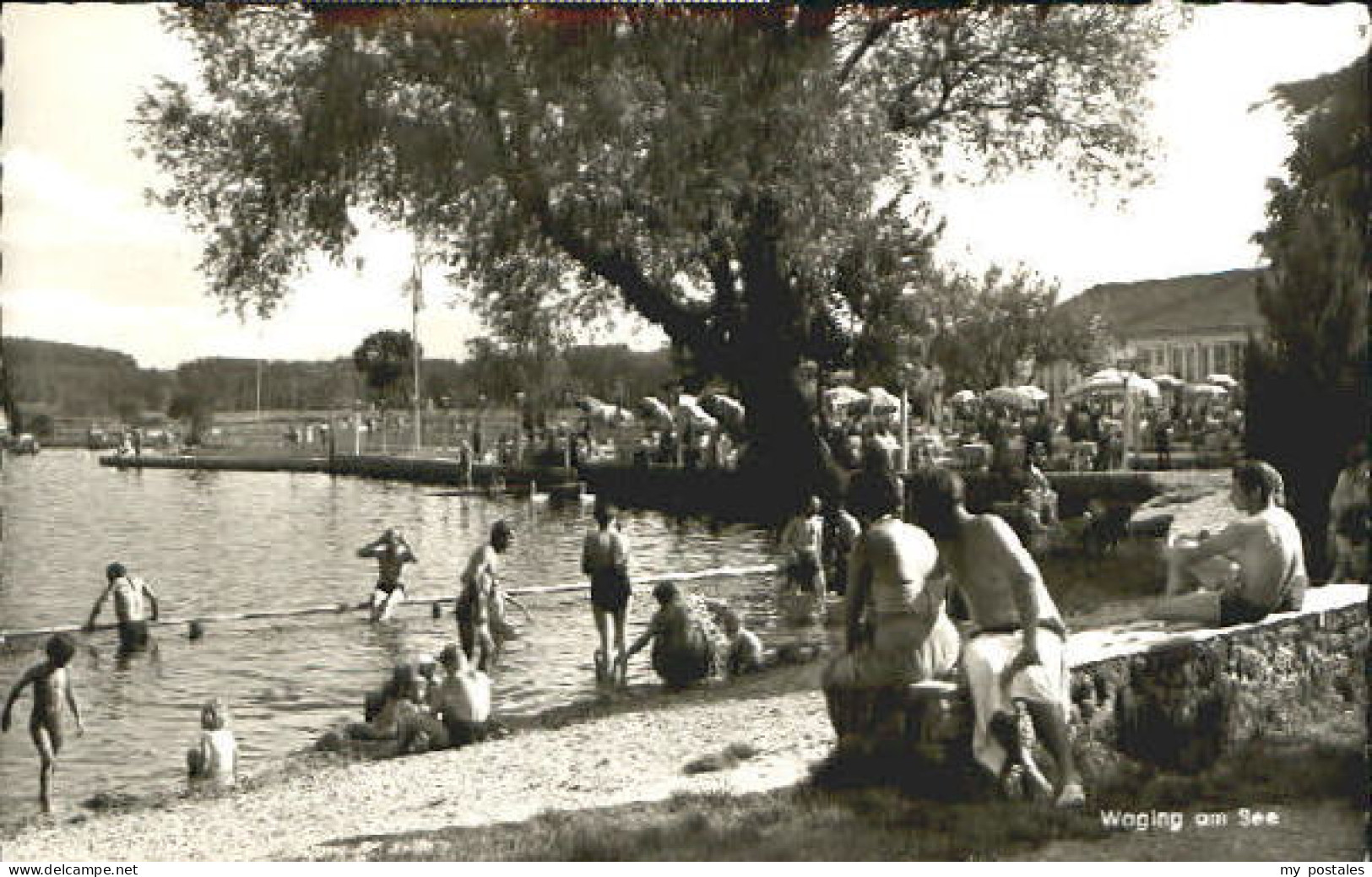 Waging See Waging See