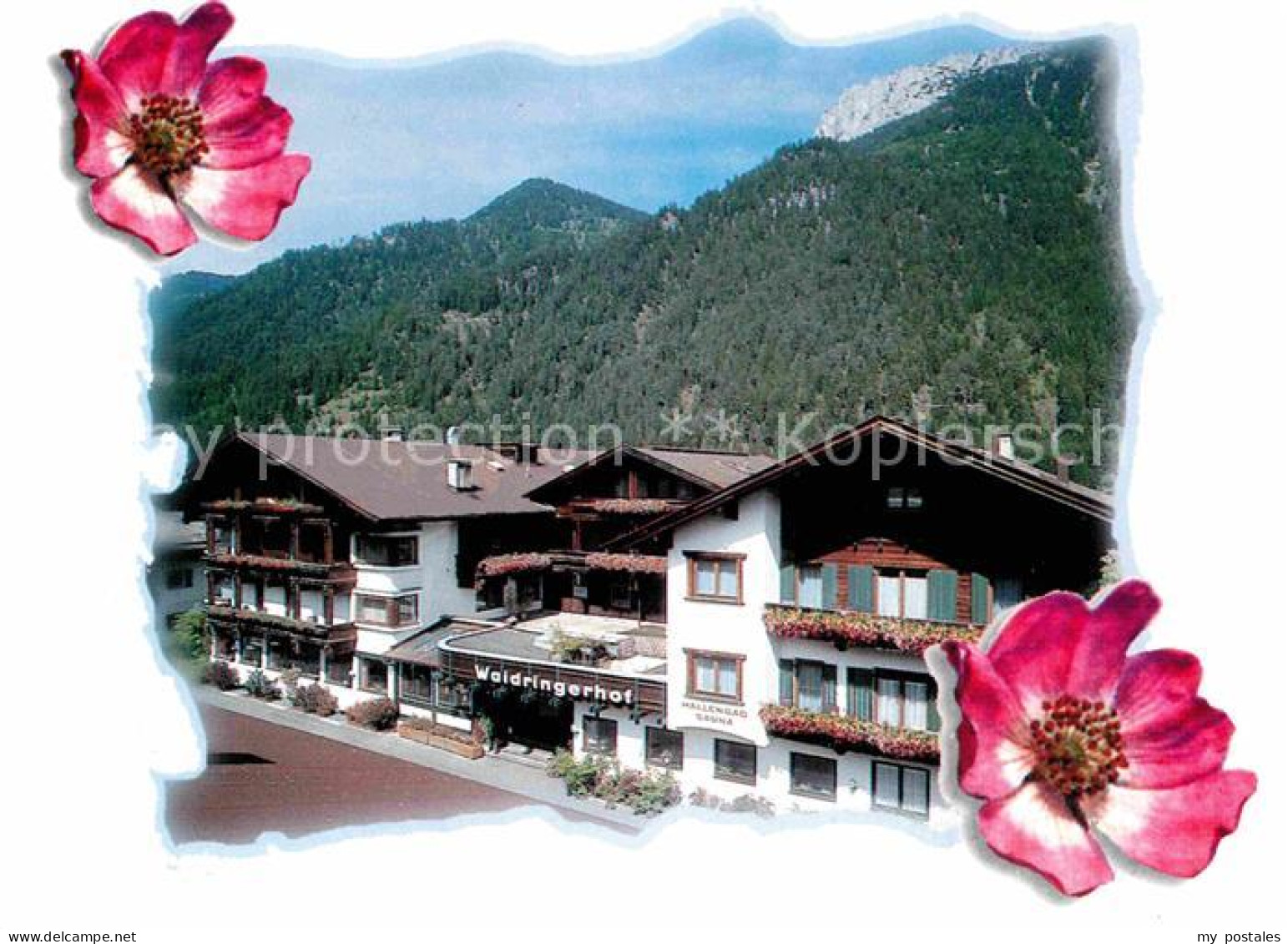 Waidring Tirol Hotel Waidringerhof