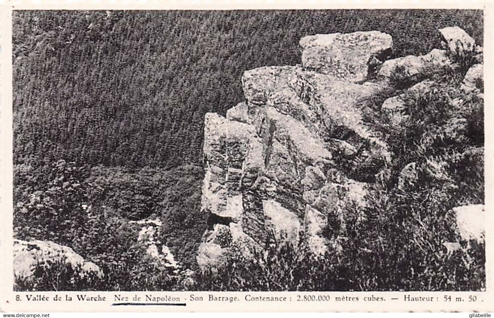 Waimes  - Weismes - vallée de la Warche - nez de Napoleon