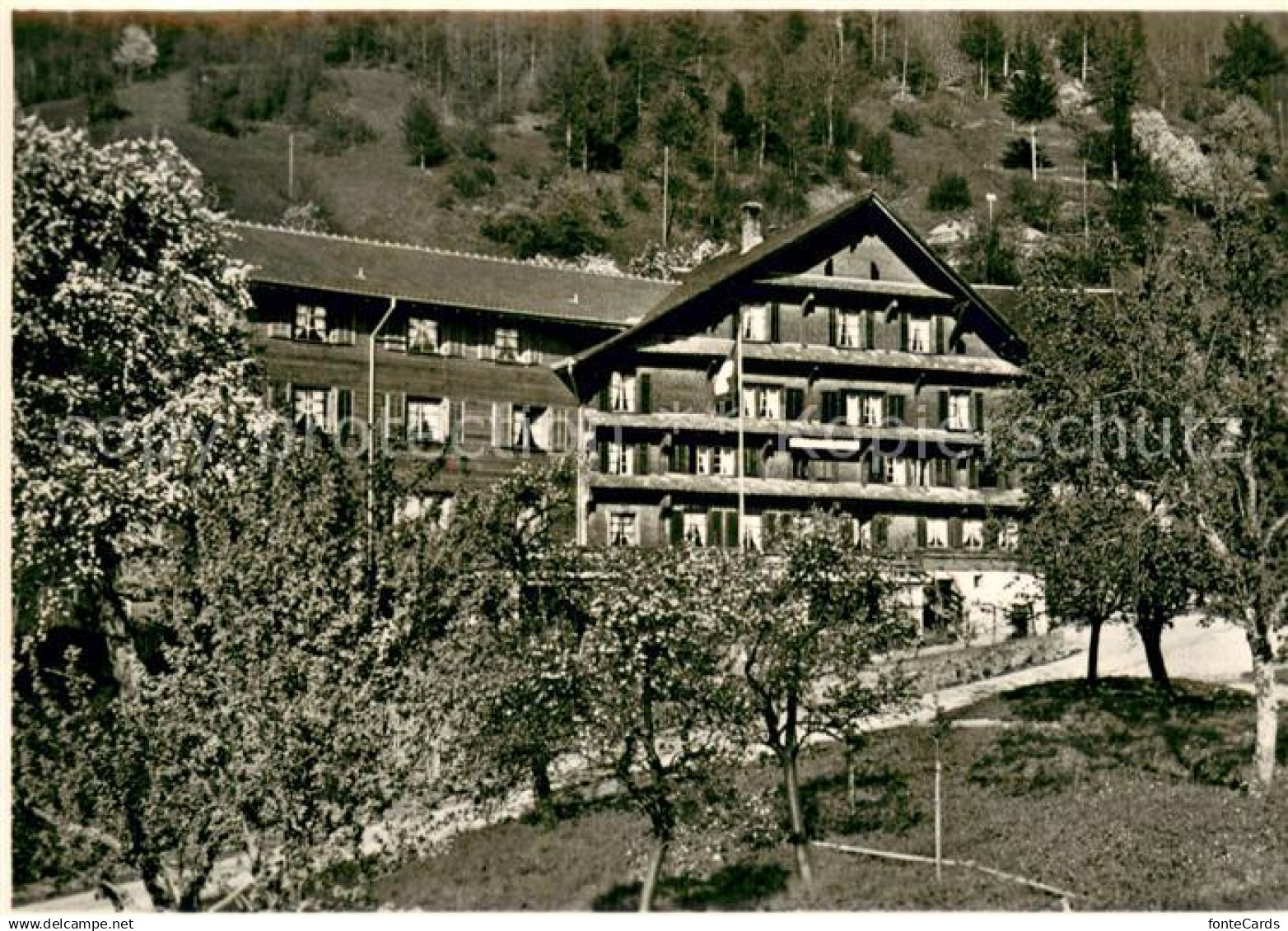 Walchwil Ferienheim Aesch