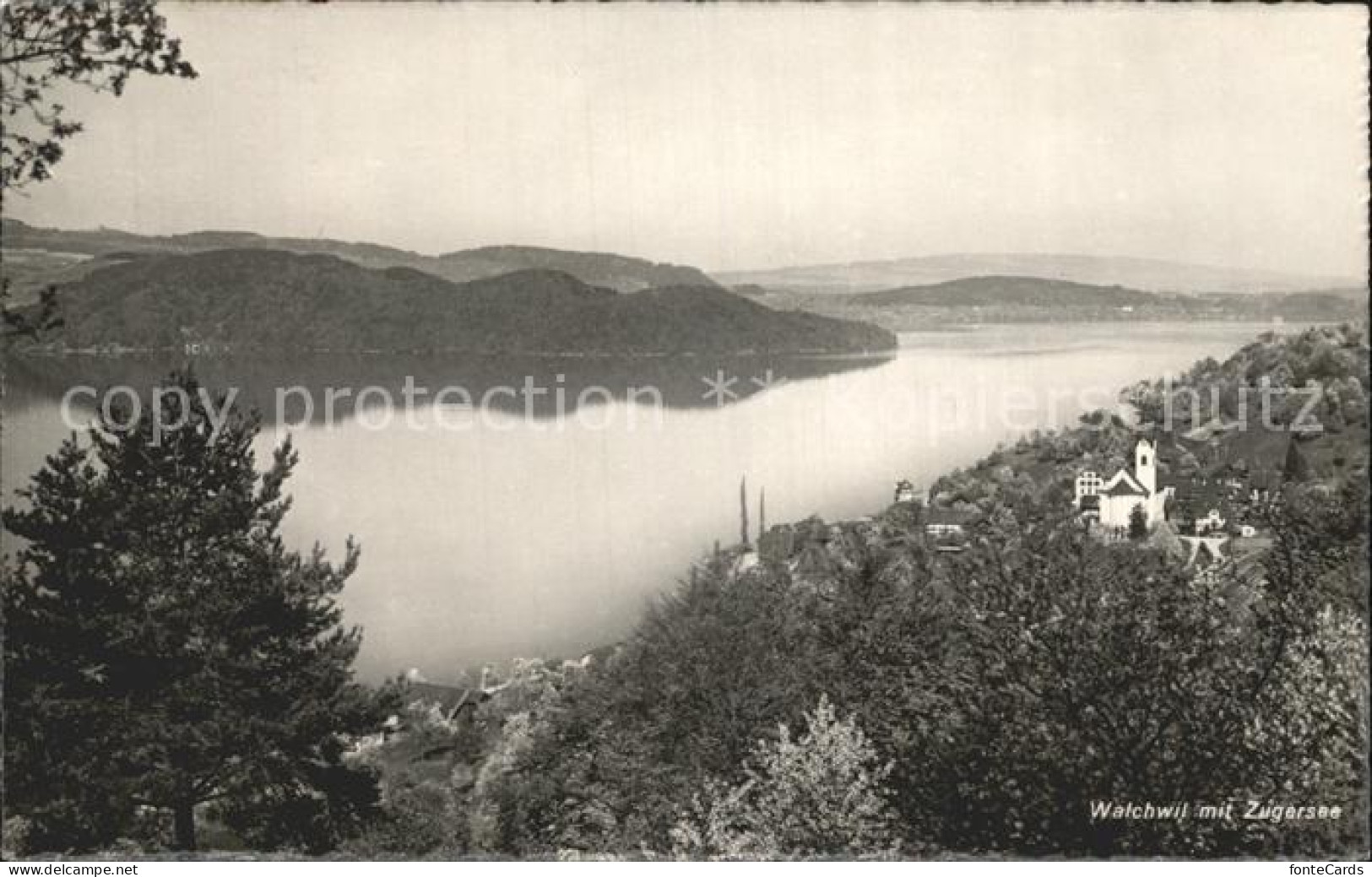 Walchwil Zugersee