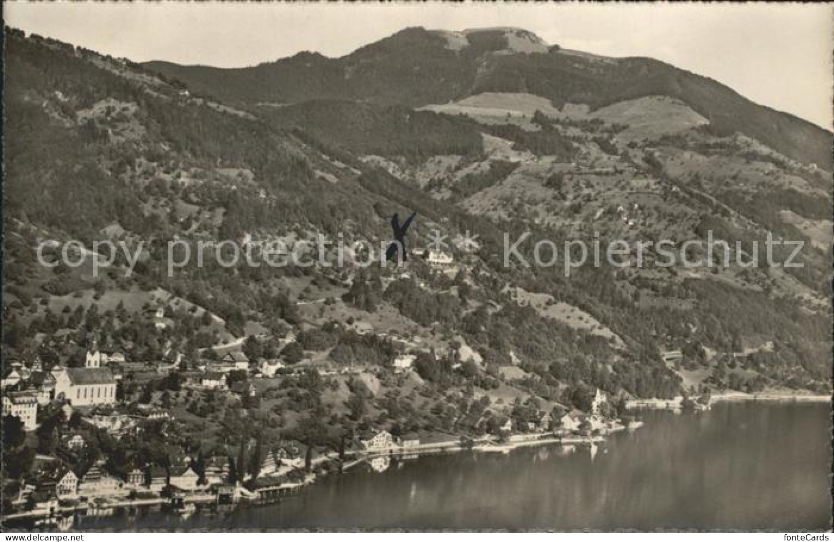 Walchwil Zugersee