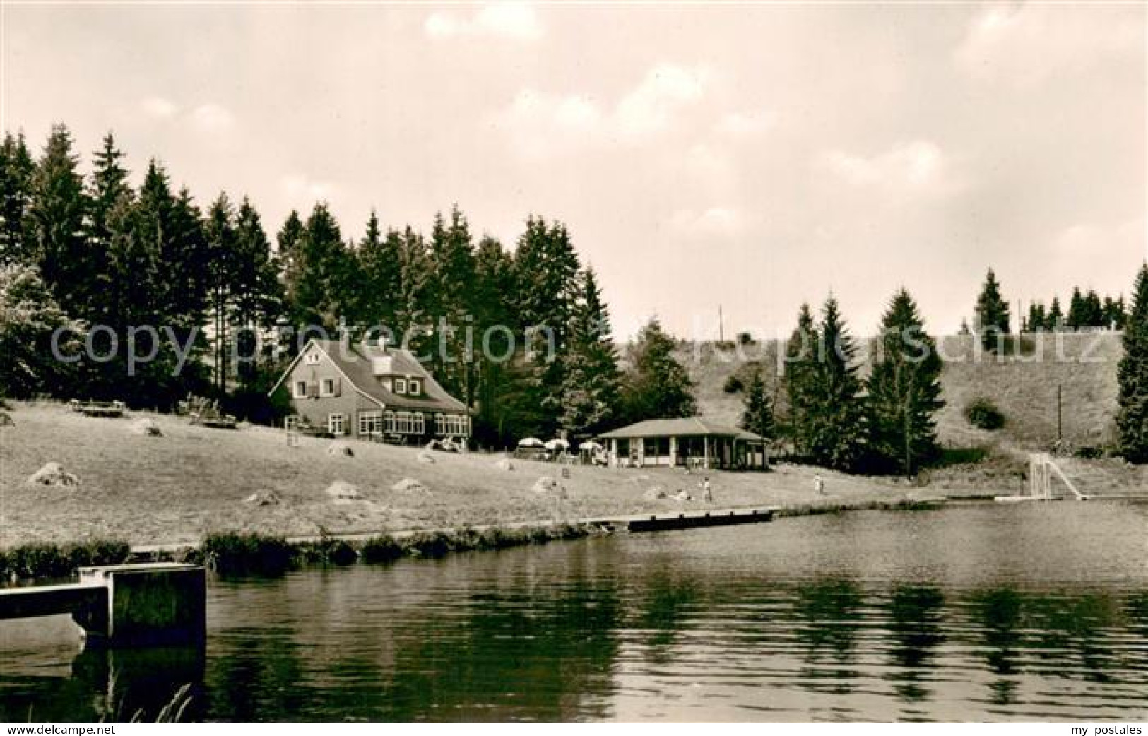 Wald Brilon Strandbad