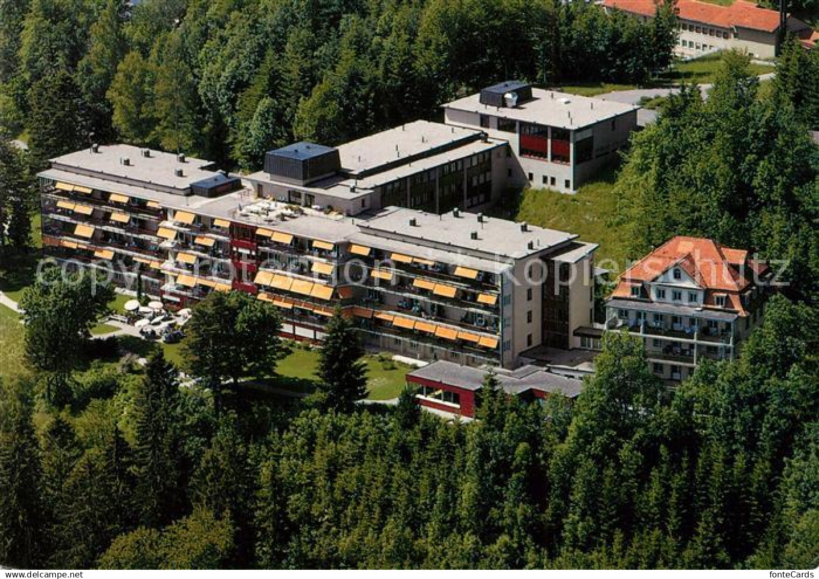 Wald Faltigberg Fliegeraufnahme Zuercher Hoehenklinik Wald