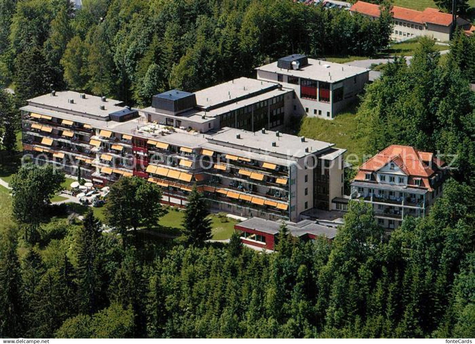 Wald Faltigberg Zuercher Hoehenklinik Wald Fliegeraufnahme