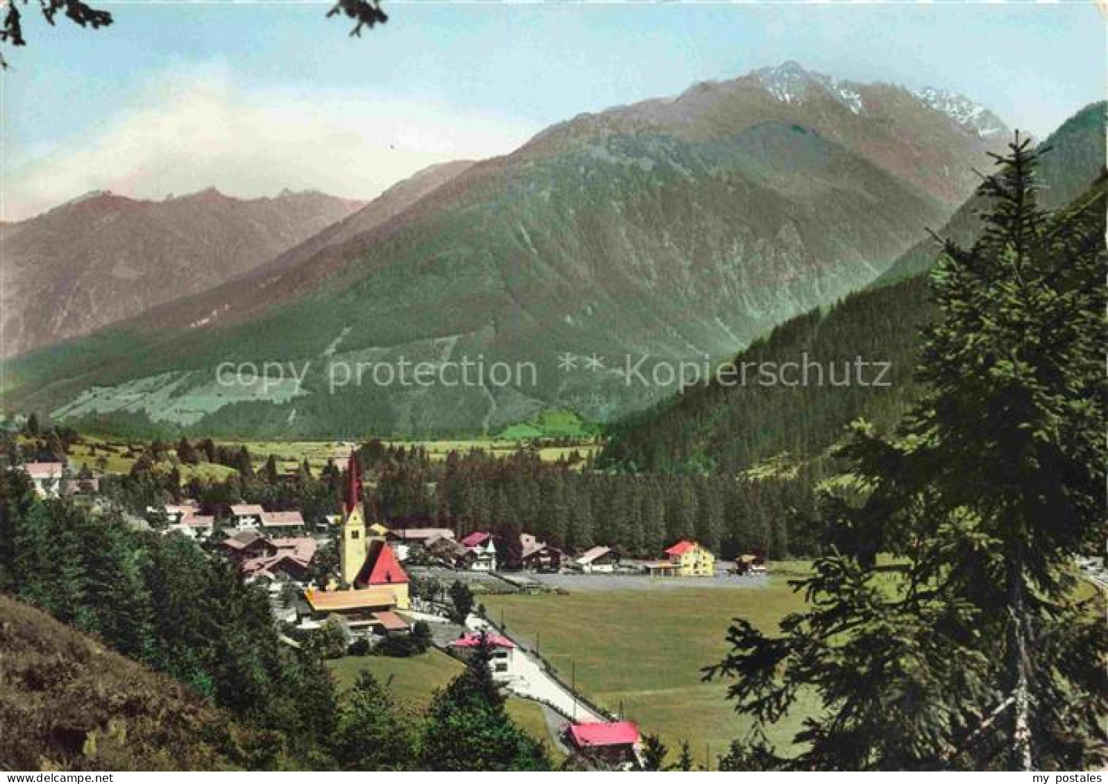 Wald Pinzgau Pitztal AT Panorama