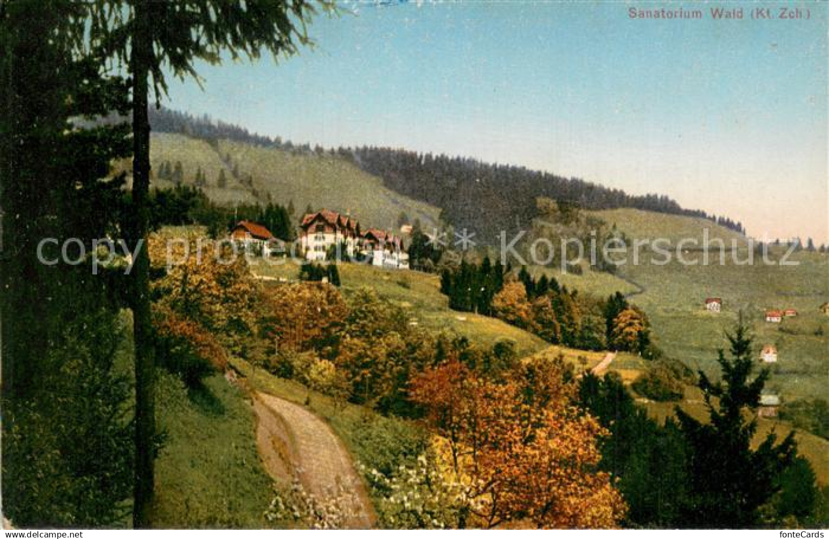 Wald ZH Sanatorium Wald