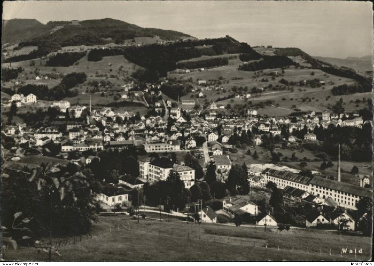 Wald ZH Wald AR