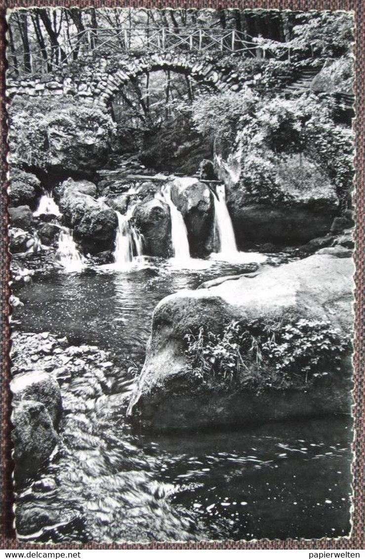 Waldbillig Müllerthal - Petite Suisse Luxembourgeoise: Müllerthal: Schiessentümpel