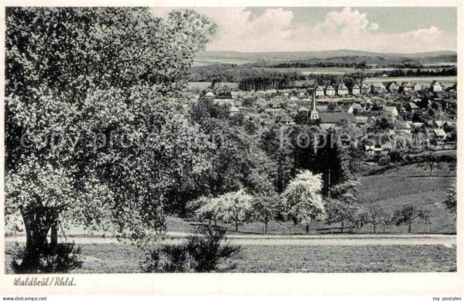 Waldbroel Panorama Baumbluete