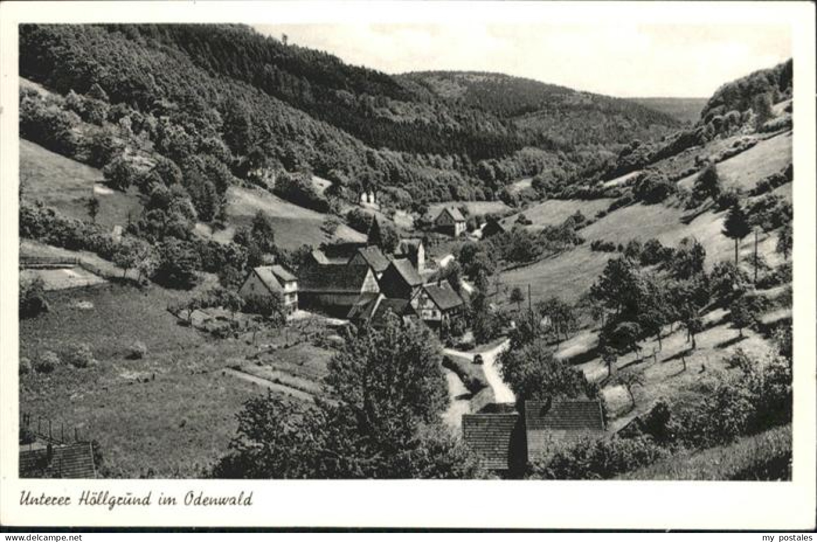 Waldbrunn Odenwald Unterer Hoellgrund
Odenwald