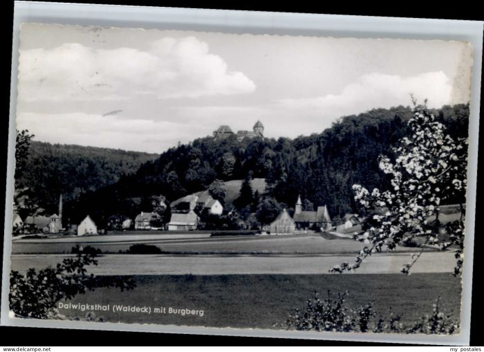 Waldeck Edersee Waldeck Dalwigsthal Burgberg