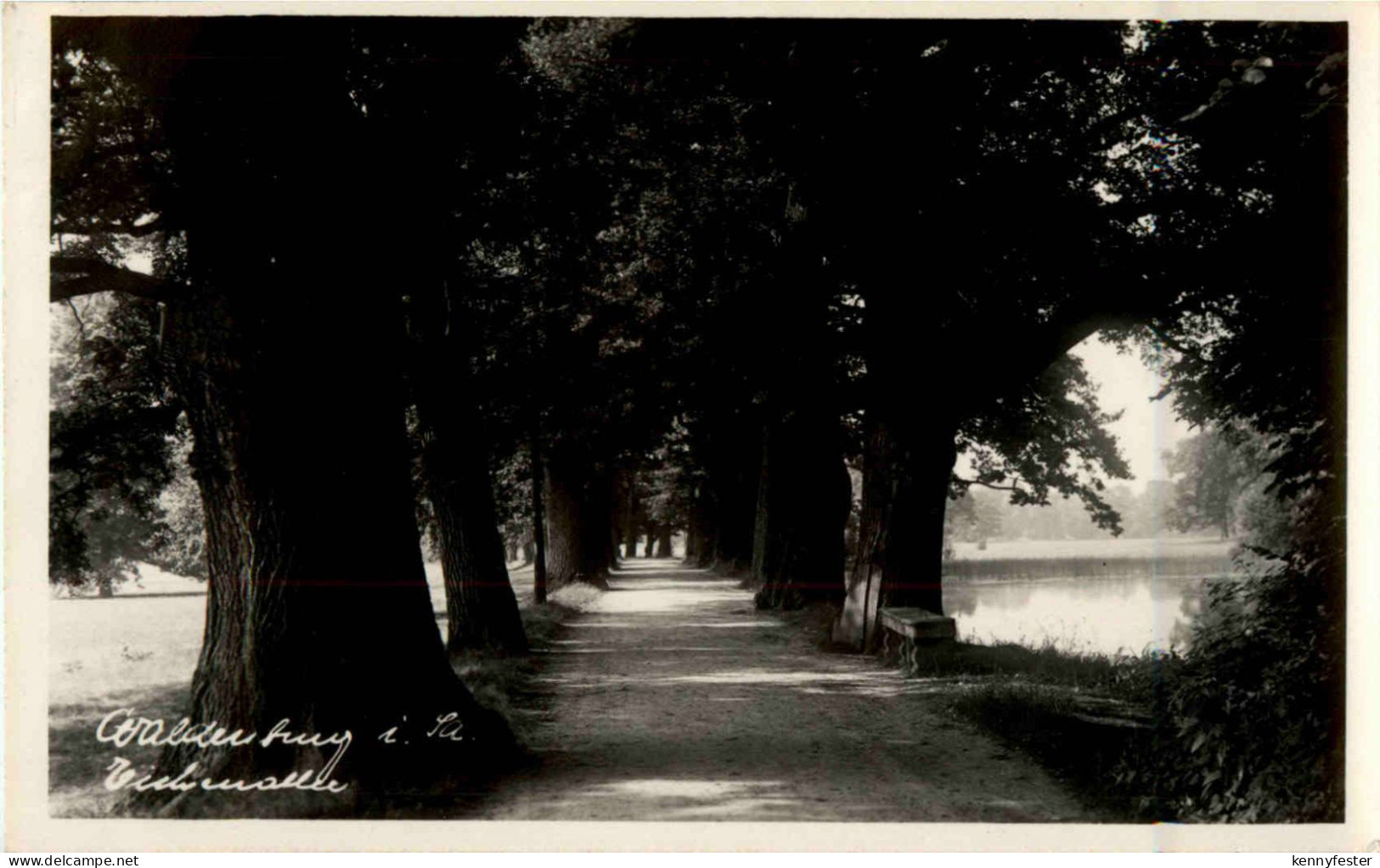 Waldenburg - Eichenallee