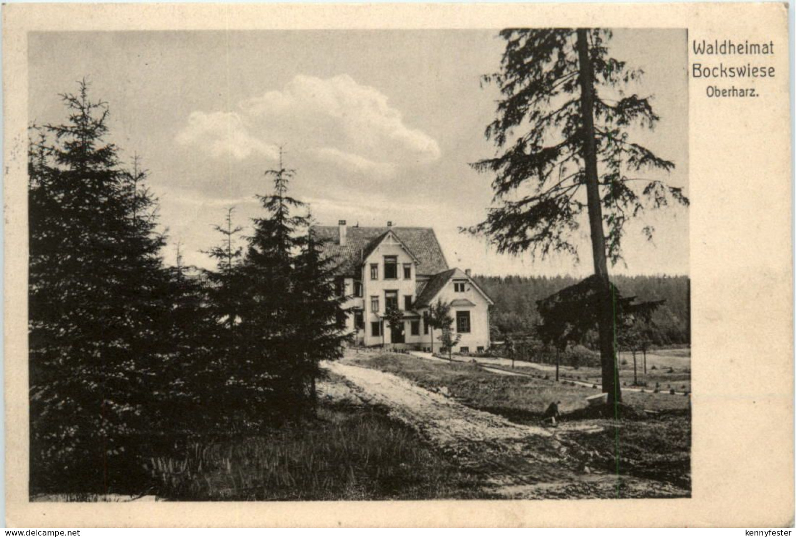 Waldheimat Bockswiese Oberharz