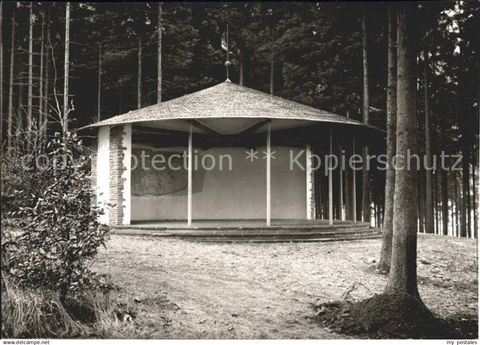 Waldhoelzbach Losheim Pavillon im Wald