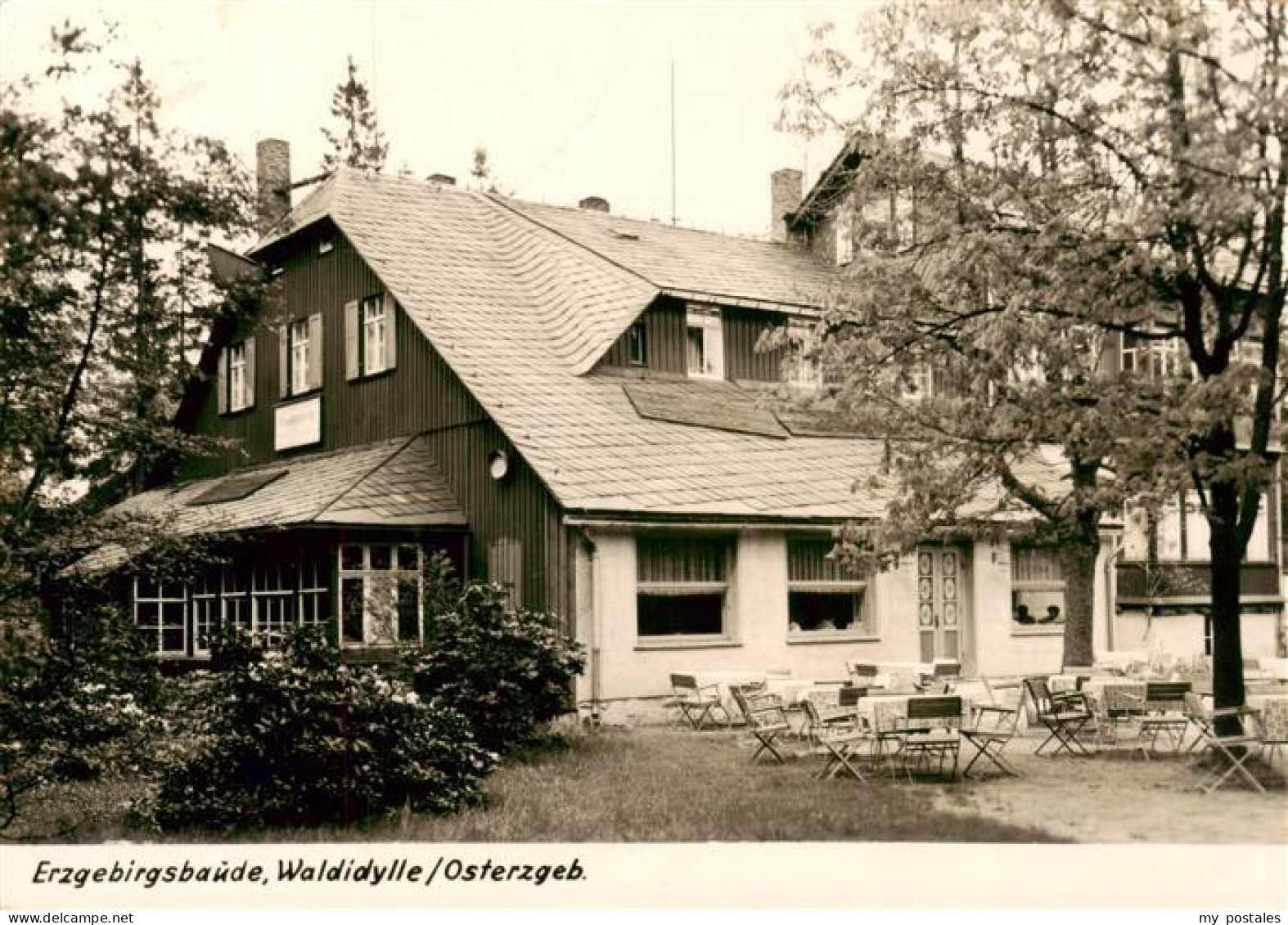 Waldidylle Altenberg Erzgebirgsbaude