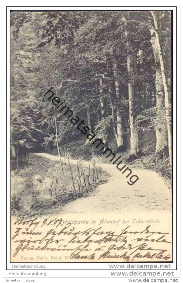 Waldpartie in Altenhof bei Eckernförde