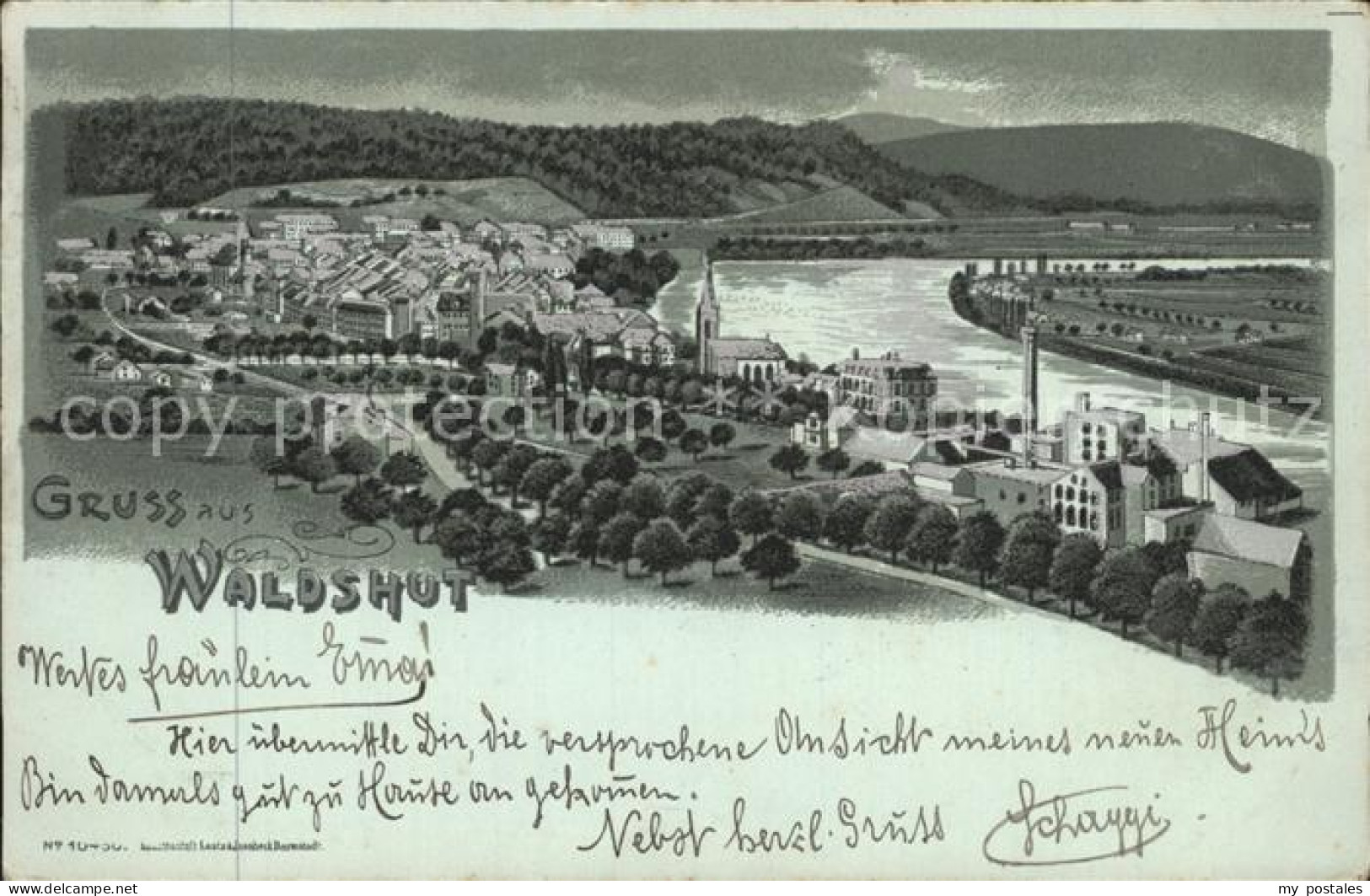 Waldshut Tiengen Rhein Totalansicht