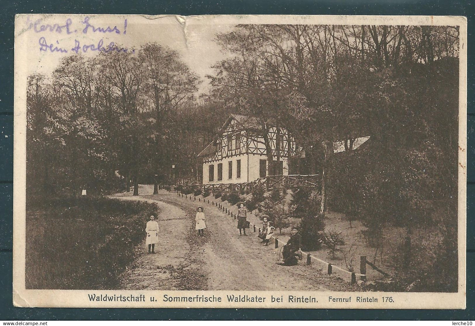 Waldwirtschaft bei Rinteln (8306)