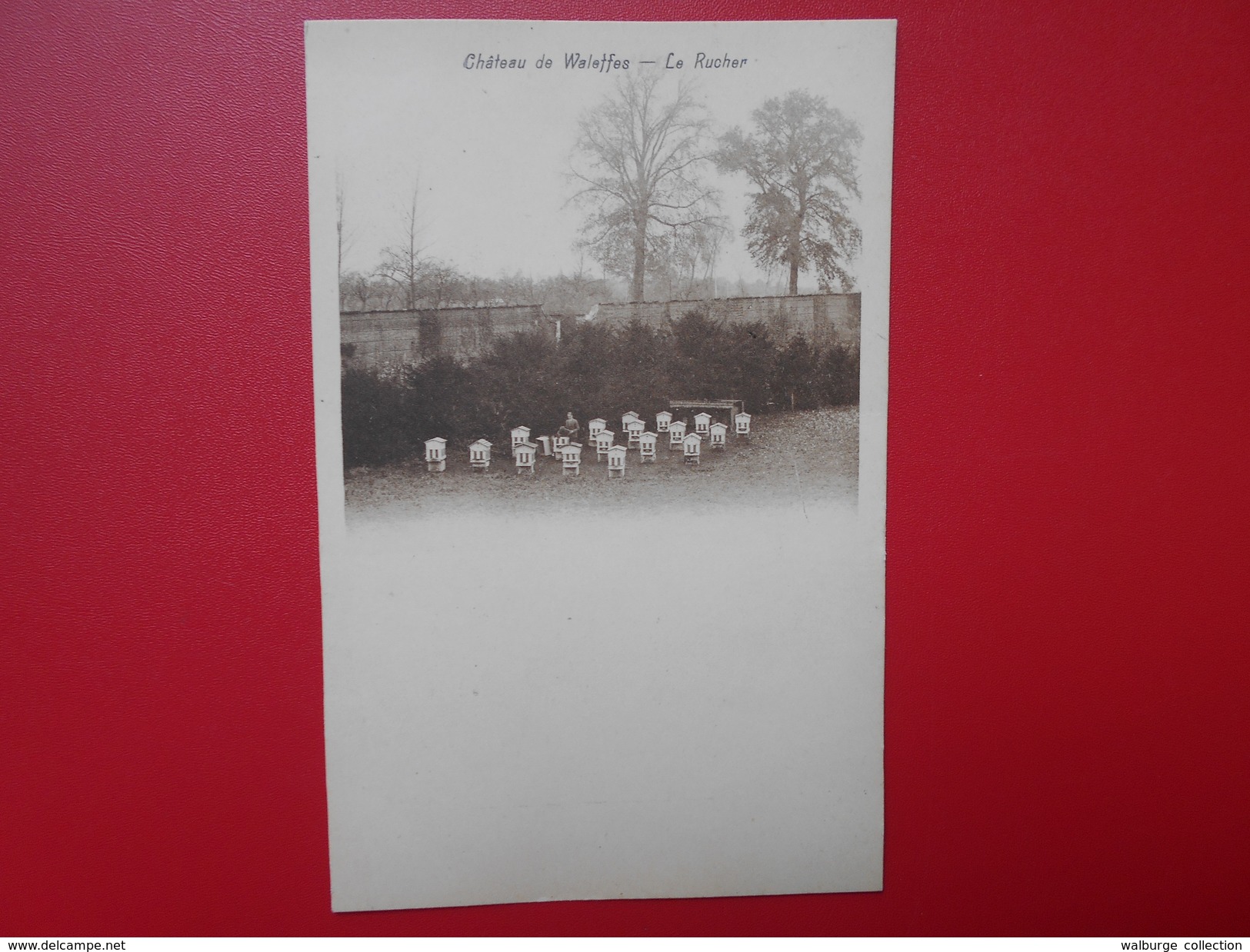 Waleffes :Le Château-Le Rucher (W1138)