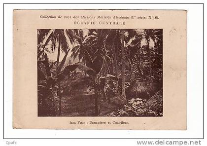 Iles Fidji : Bananiers et Cocotiers (arbre) / Missions Maristes d'Océanie