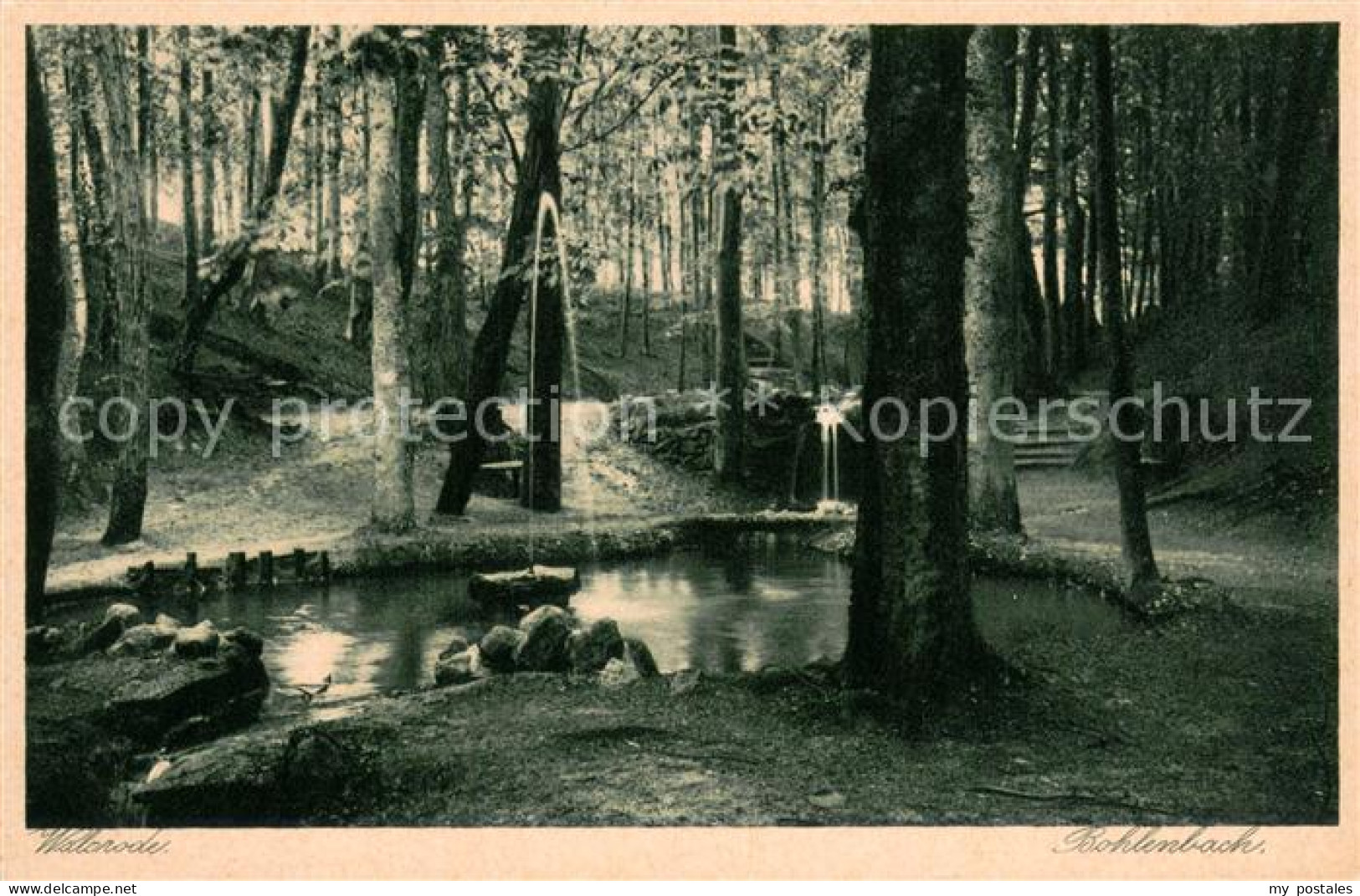 Walsrode Lueneburger Heide Bohlenbach