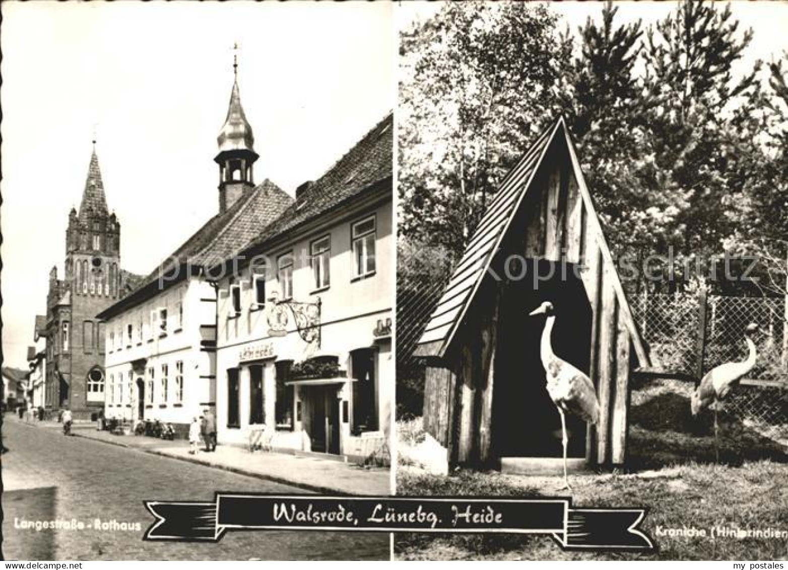 Walsrode Lueneburger Heide Langestrasse Kraniche