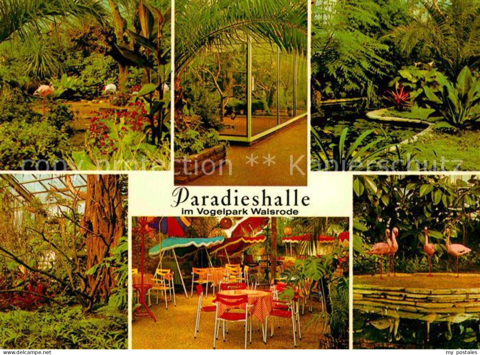 Walsrode Lueneburger Heide Paradieshalle im Vogelpark Walsrode