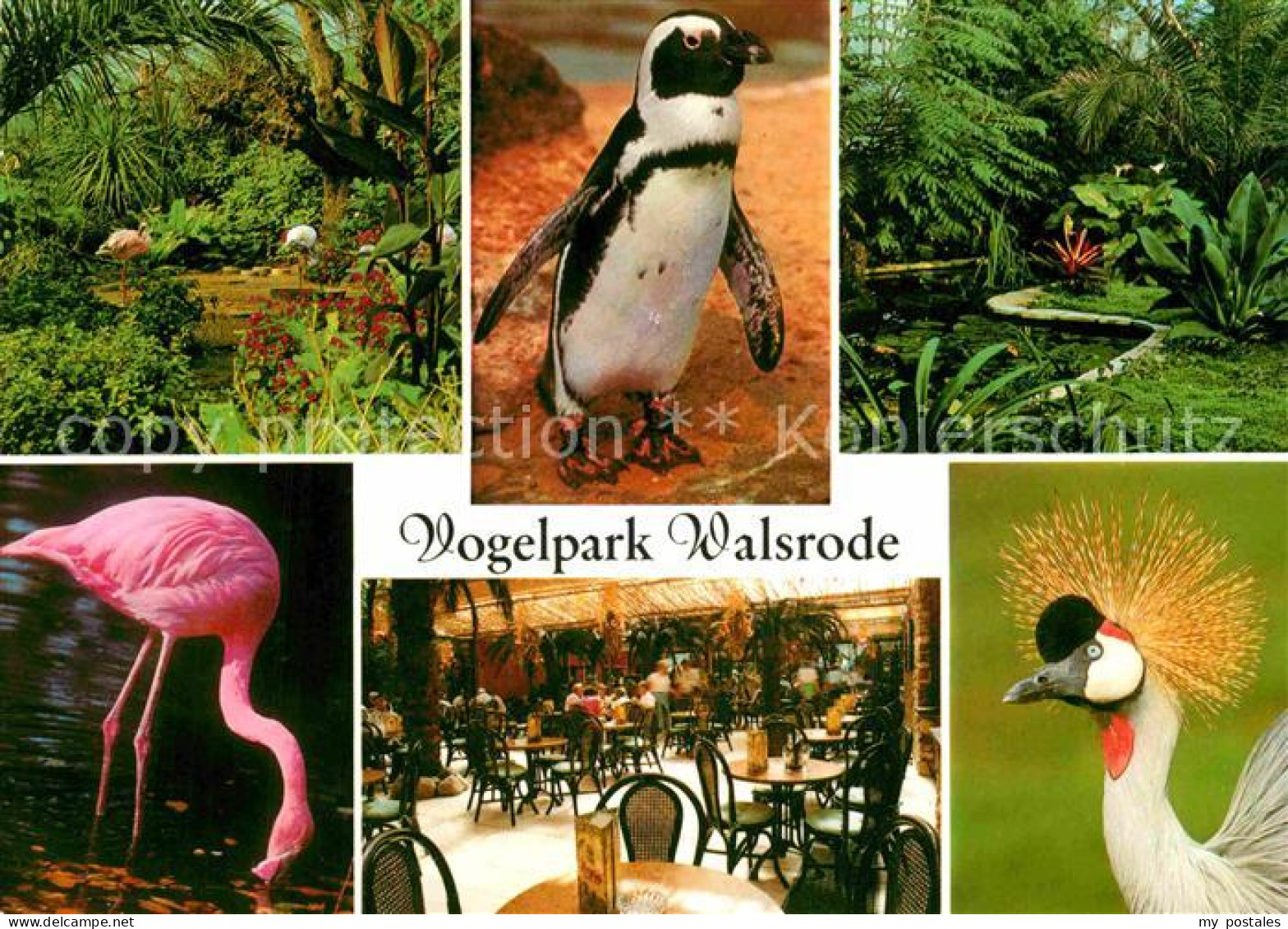 Walsrode Lueneburger Heide Vogelpark