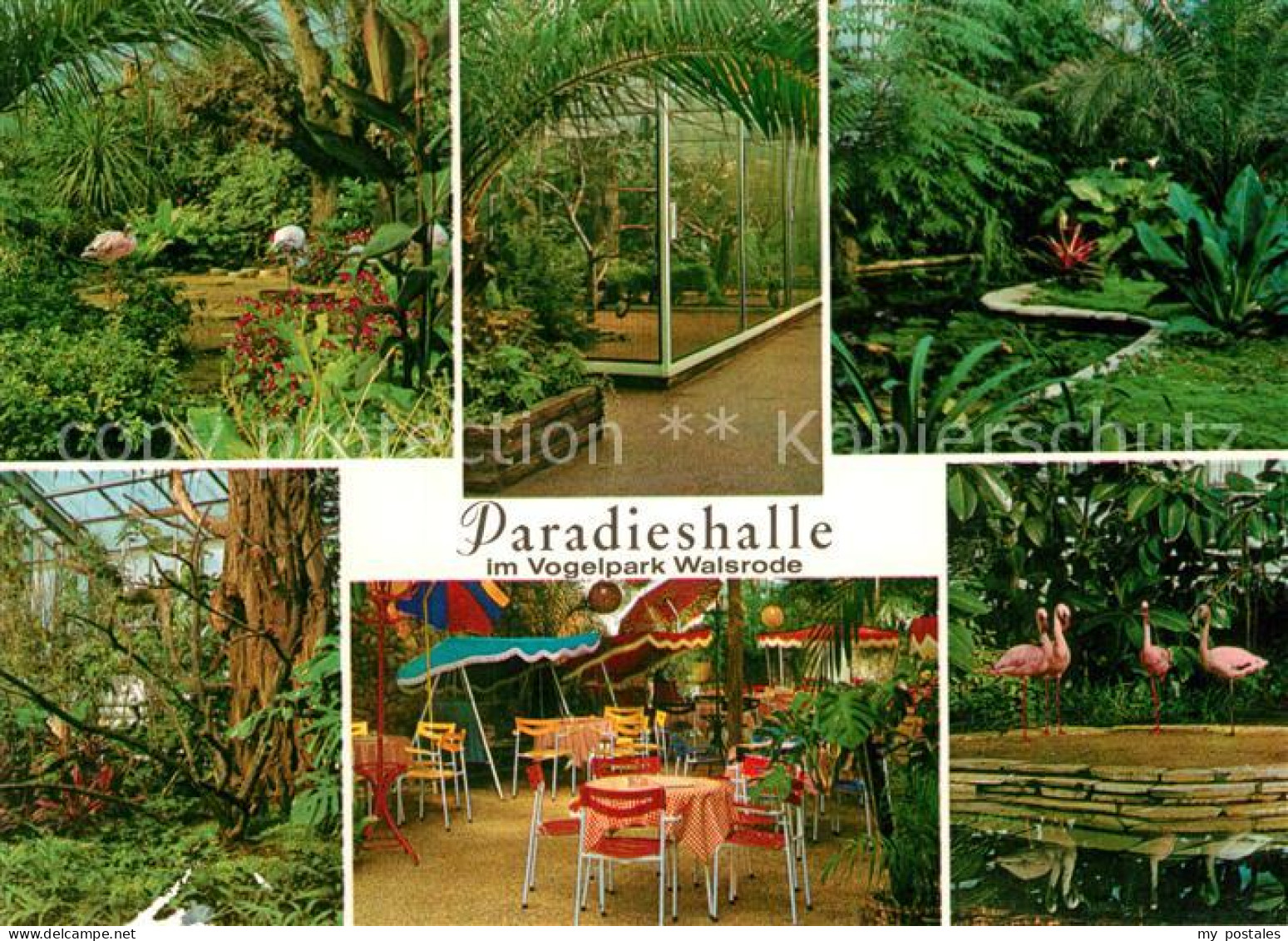 Walsrode Lueneburger Heide Vogelpark Paradieshalle