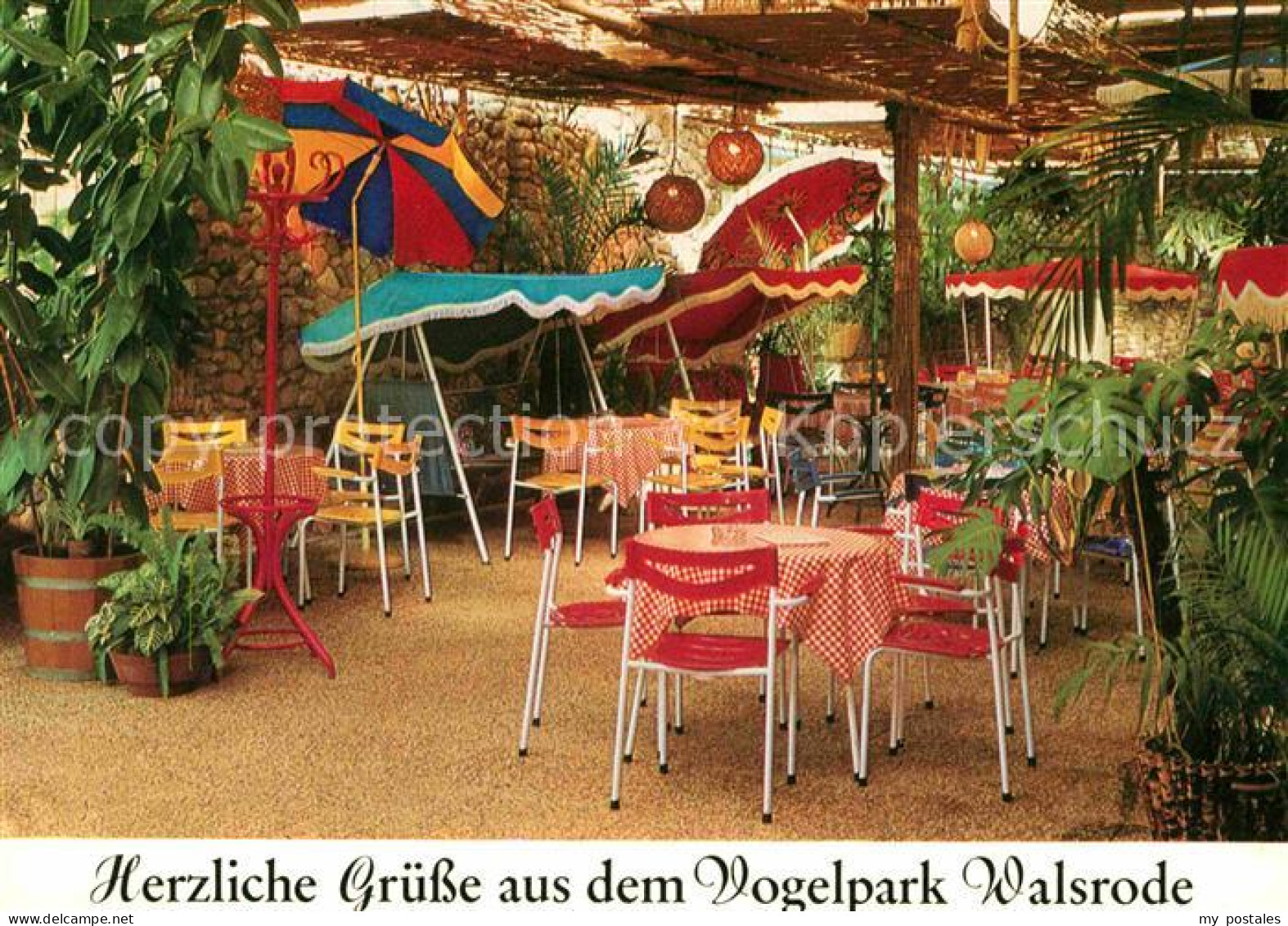 Walsrode Lueneburger Heide VogelparkTropencafe Paradieshalle