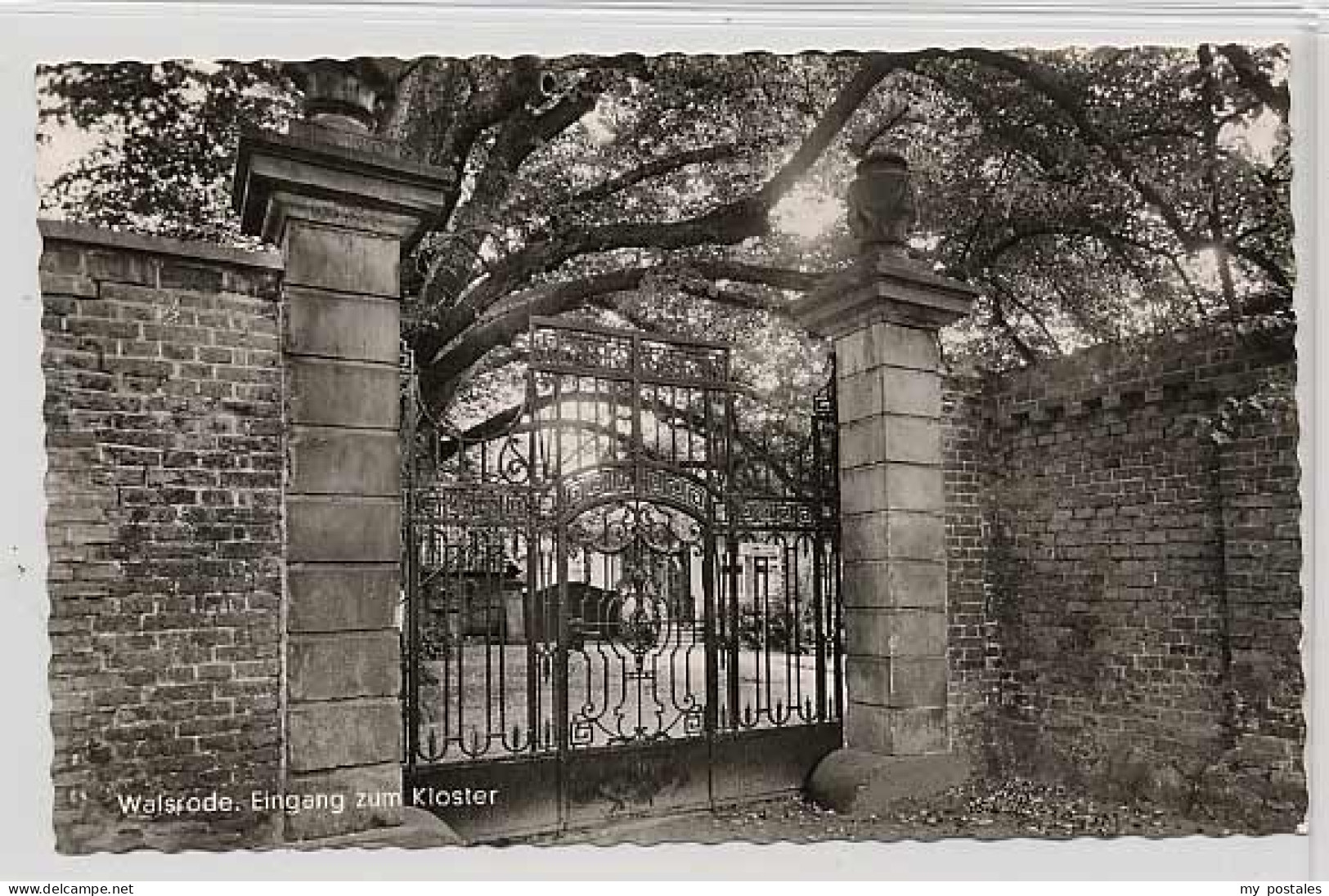 Walsrode Lueneburger Heide Walsrode