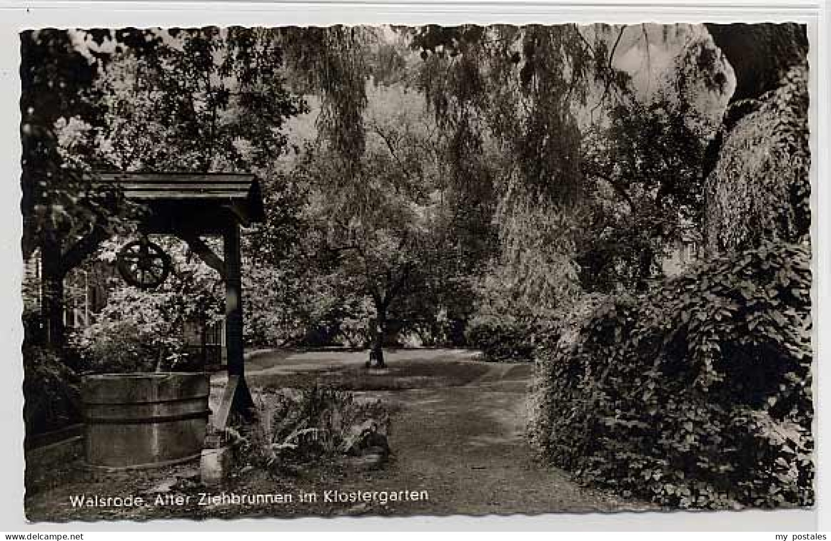 Walsrode Lueneburger Heide Walsrode