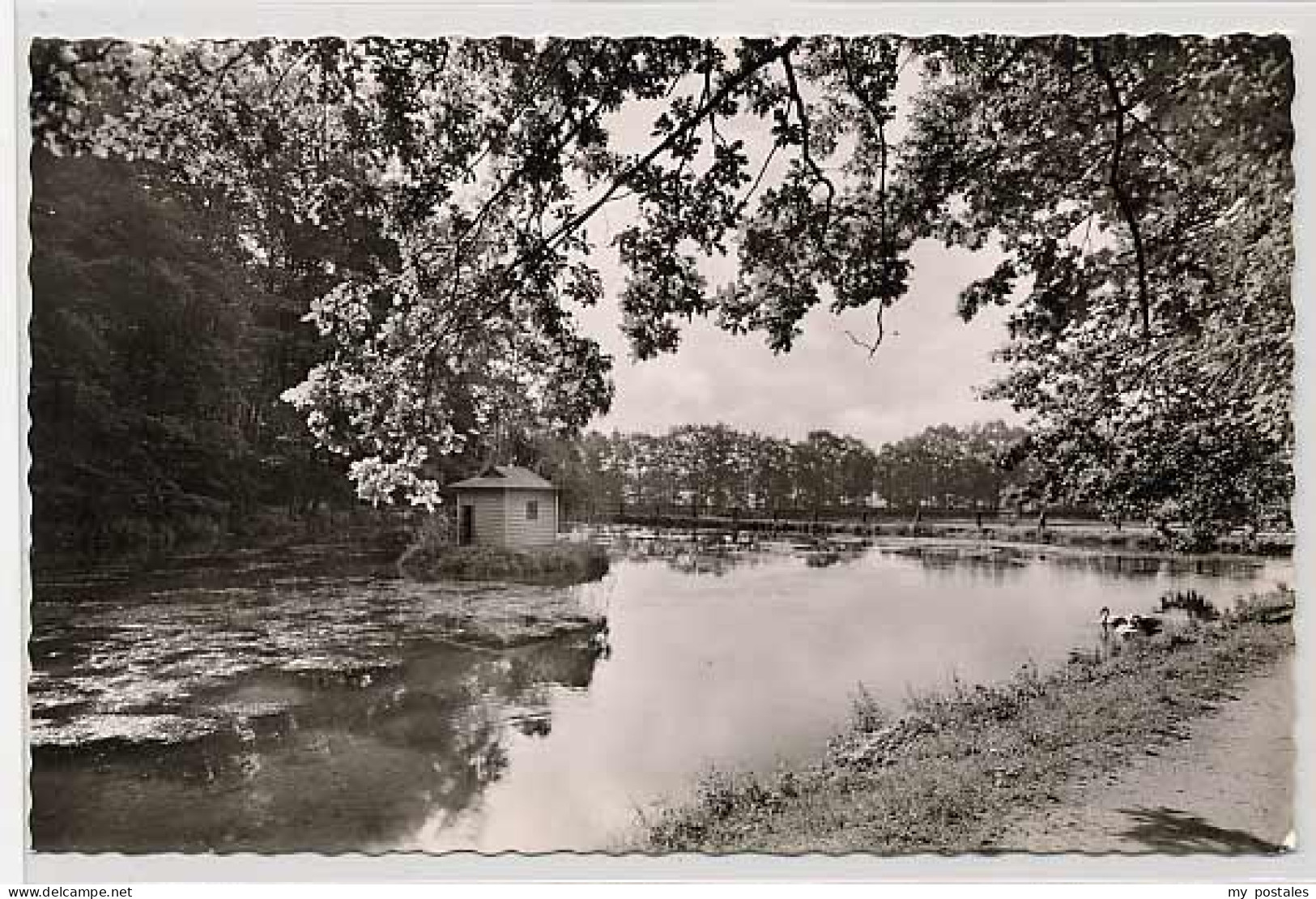 Walsrode Lueneburger Heide Walsrode