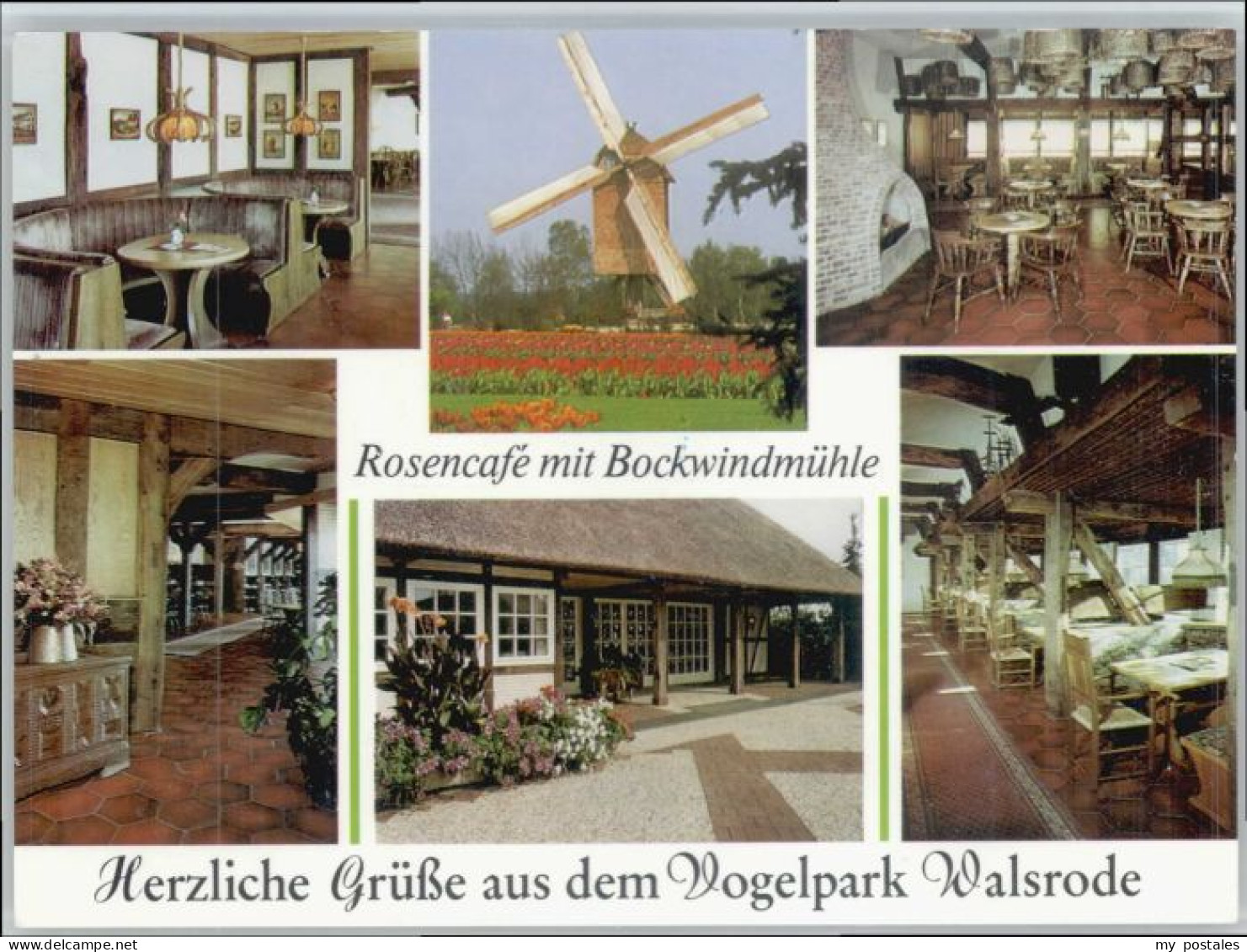 Walsrode Lueneburger Heide Walsrode Cafe Bockwindmuehle Vogelpark