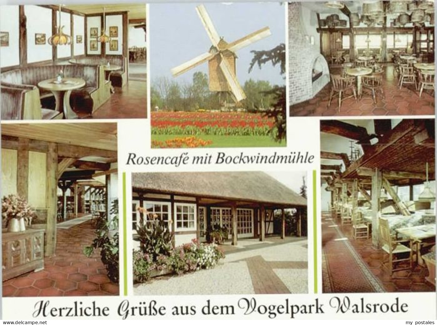 Walsrode Lueneburger Heide Walsrode Vogelpark