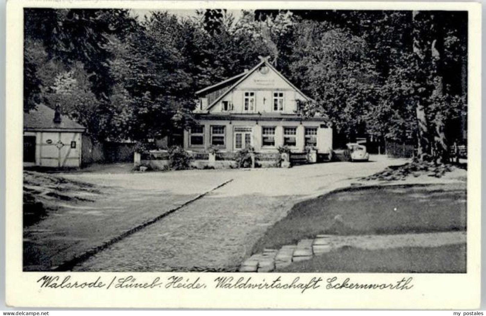 Walsrode Lueneburger Heide Walsrode Waldwirtschaft Eckerworth