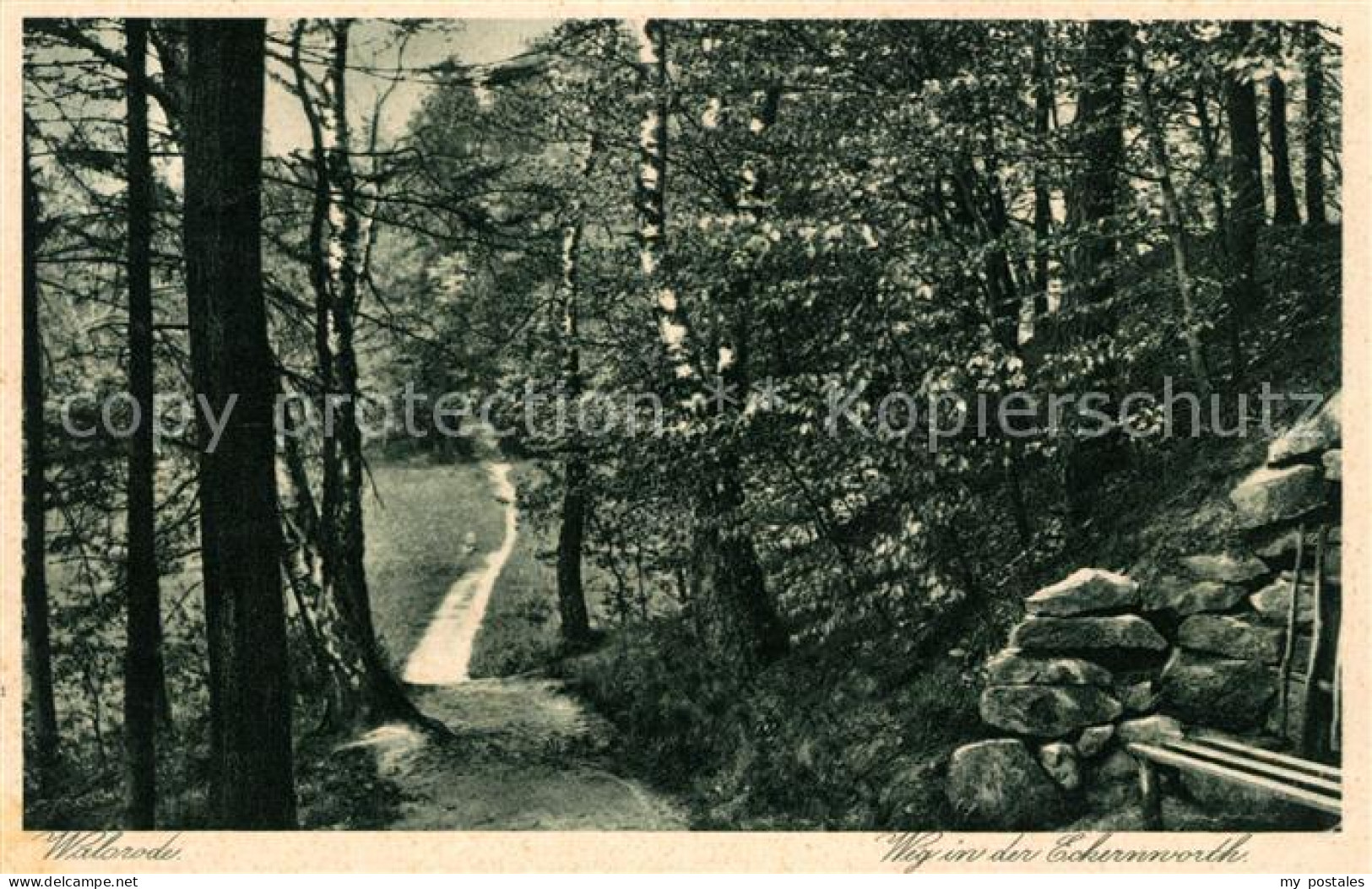 Walsrode Lueneburger Heide Weg in der Eckernworth