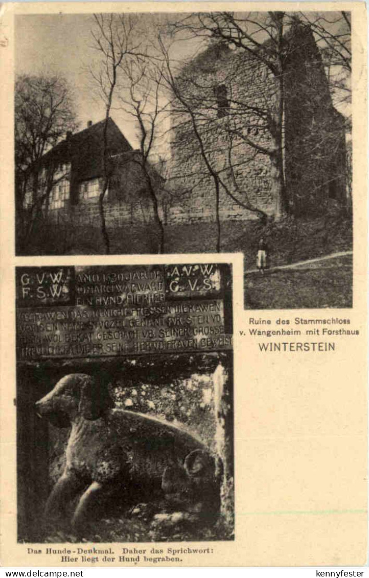 Waltershausen, Ruine des Stammschloss v. Wangenheim, Winterstein