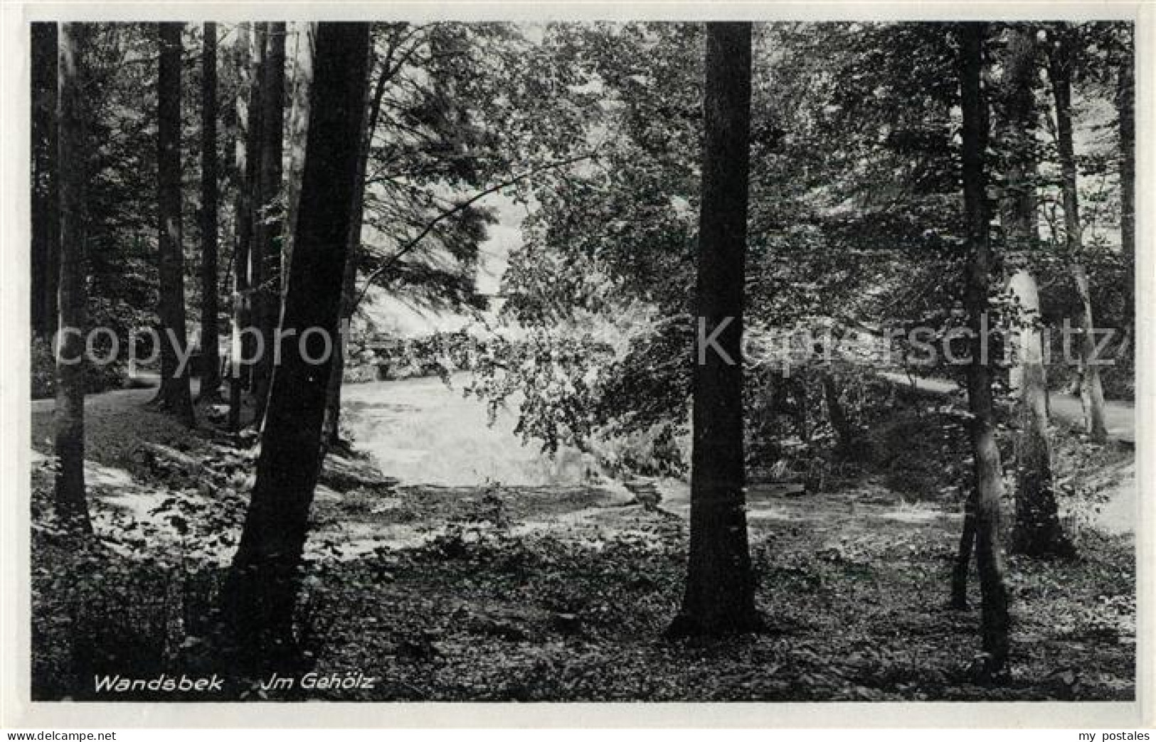 Wandsbek Partie im Gehoelz Wald