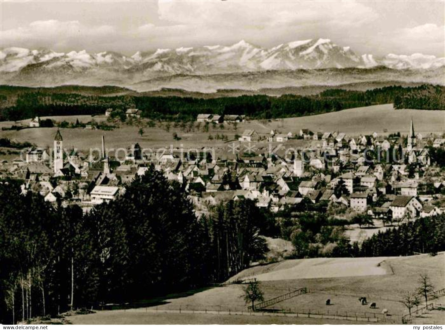 Wangen Allgaeu Panorama