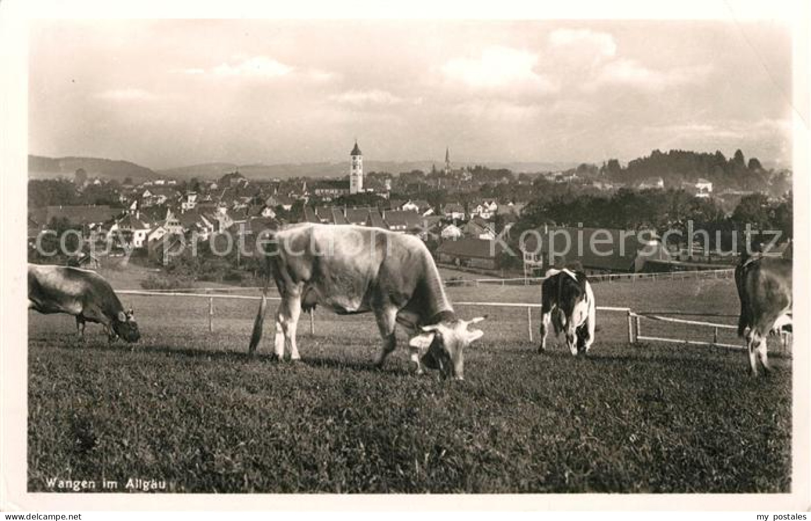 Wangen Allgaeu Panorama