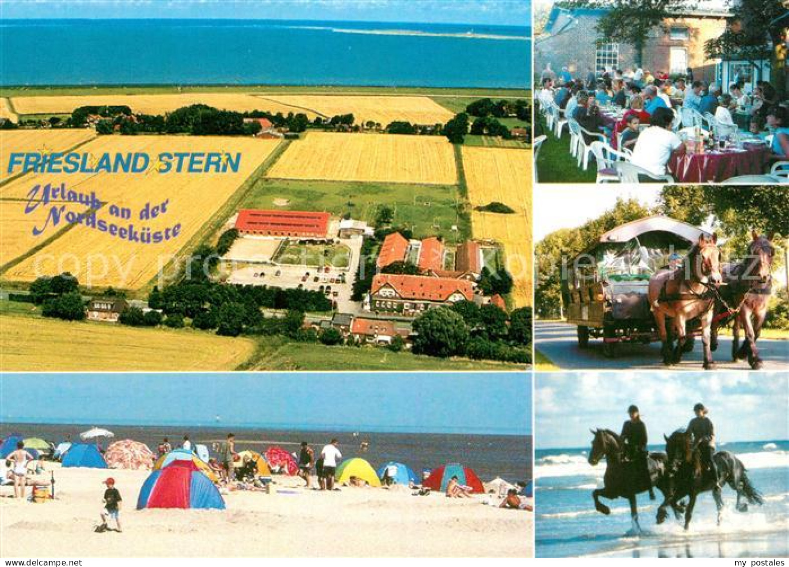 Wangerland Friesland Stern Strand Pferde Fliegeraufnahme Pferdewageb