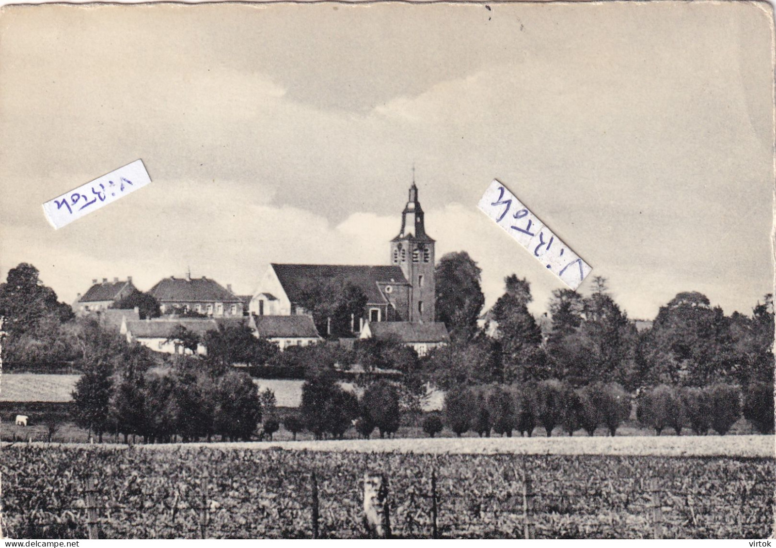 Wannegem - Lede ;  zicht op de kerk   :    (  15 x 10.5 cm )
