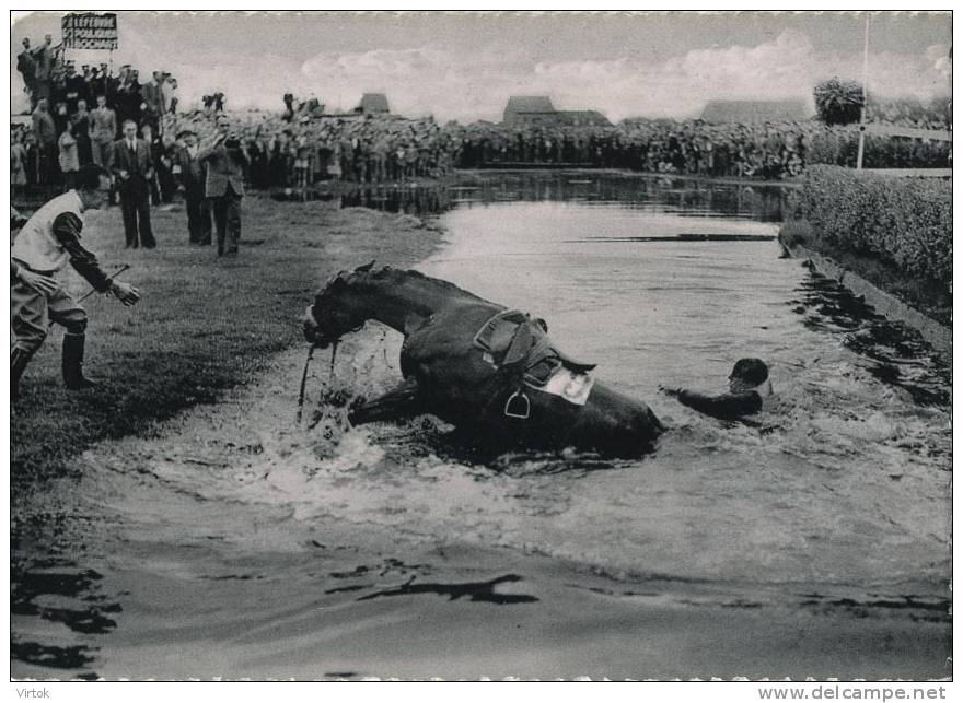Waregem :  val in de gaverbeek  (  paarden sport - ruiters )  -  GROOT FORMAAT